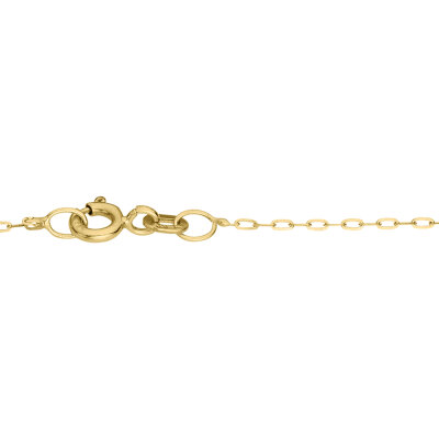 Goldkette 333/- Gelbgold Weitanker 42 cm