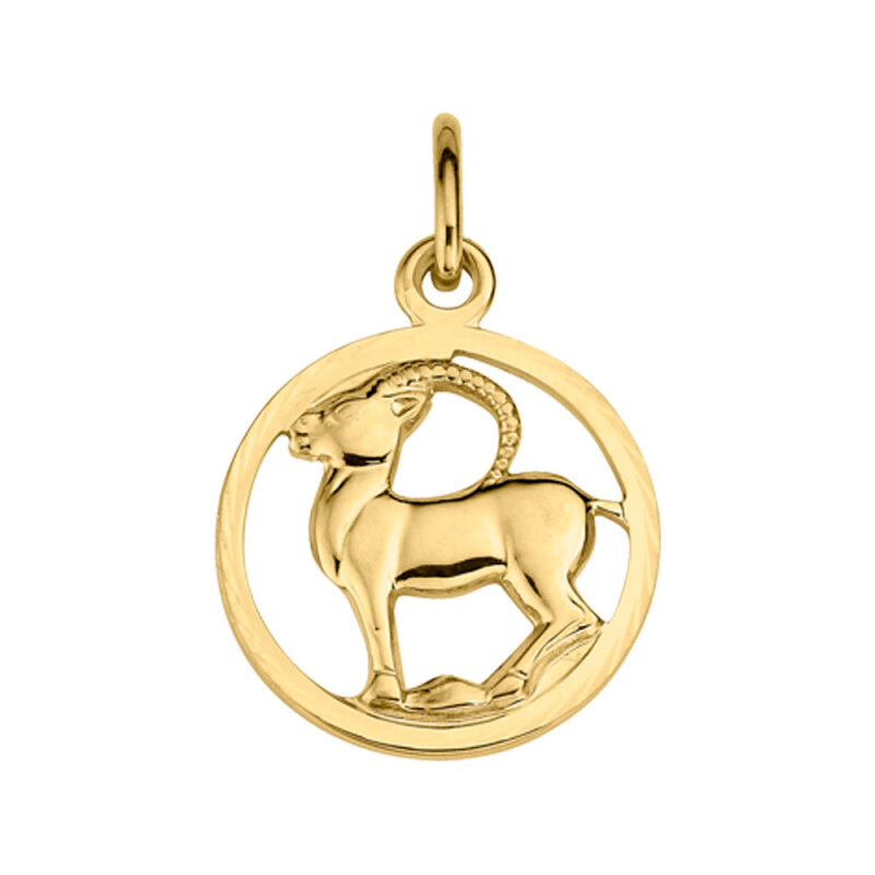 Sternzeichen Steinbock 333/- Gelbgold 16 mm