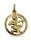 Sternzeichen Schütze 333/- Gelbgold 18 mm
