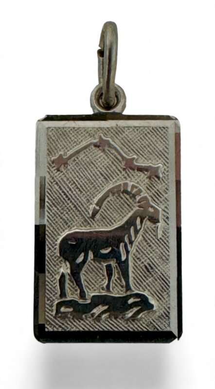 Sternzeichen Steinbock 925/- Silber rhodiniert 14 x 9 mm