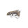 Seinerzeit Willy Salamander Ring SZA-1990-176-M