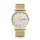 Sternglas BERLIN Sepia Gold S01-BE14-MI05 Tag/Datum