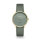 Sternglas Naos XS Edition Flora S01-NDF18-KL09 Salbei